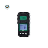 Máy đo khí đơn INSIZE 0611-SG04 (H2S, 0~100ppm)