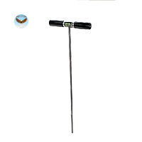 Đầu đo độ ẩm đất AMS 402.95