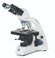 Kính hiển vi ba mắt BioBlue.Lab Euromex BB.1152-PL (WF 10x/20 mm, 4/10/S40/S100x)