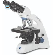 Kính hiển vi hai mắt BioBlue.Lab Euromex BB.1152-PLi (WF 10x/20 mm, 4/10/S40/S100x)