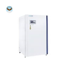 Tủ vi khí hậu BIOBASE BJPX-A300/II (290L)