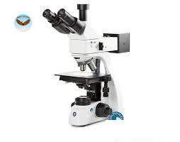 Kính hiển vi ba mắt bScope Euromex BS.1053-PLMi (HWF 10x/22 mm, 5/10/20/S50)