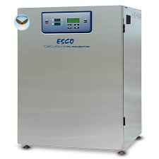 Tủ ấm CO2 ESCO CCL-170T-8-UV-SS (170 L, 230 VAC, 50/60 Hz, đèn UV)