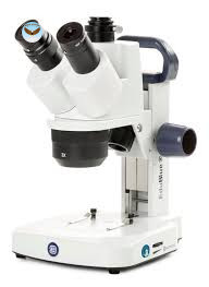 Kính hiển vi soi nổi ba mắt EduBlue Euromex ED.1303-S (WF10x/20, 10x/30x)