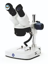 Kính hiển vi soi nổi hai mắt EduBlue Euromex ED.1402-P (WF10x/20, 20x/40x)