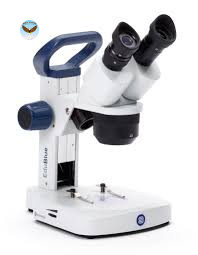 Kính hiển vi soi nổi hai mắt EduBlue Euromex ED.1802-S (WF10x/20, 10x/20x/40x)