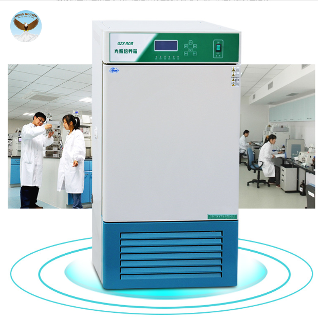 Tủ môi trường CHINA GZX-450B