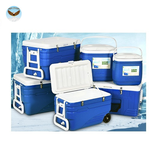 Phích giữ lạnh Vacxin chuyên dụng CHINA ICB36