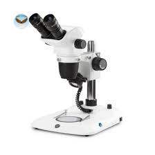 Kính hiển vi soi nổi hai mắt NexiusZoom Euromex NZ.1902-P (HWF10x/22mm, 6.7x ~ 45x)