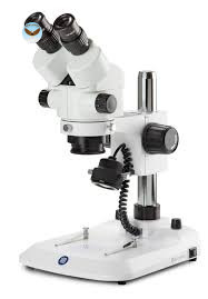 Kính hiển vi soi nổi hai mắt StereoBlue Euromex SB.1902-P (WF10x/21, 7x ~ 45x)