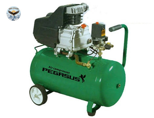 Máy nén khí mini đầu liền PEGASUS TM-0.08/8-B50