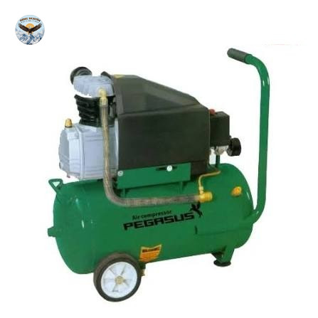 Máy nén khí đầu liền PEGASUS TM-0.11/8-F24