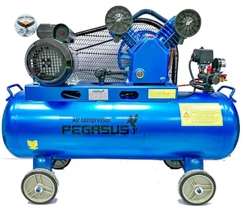 Máy nén không khí mini PEGASUS TM-V-0.12/8-70L