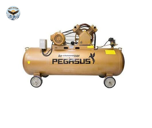 Máy nén khí PEGASUS TM-V-0.17/8-120L