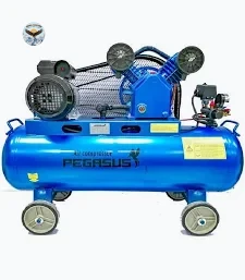 Máy nén khí đầu nổ chạy xăng PEGASUS TM-V-0.25/8-100L