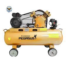 Máy nén khí công nghiệp PEGASUS TM-V-0.17/8-180L