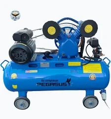 Máy nén hơi PEGASUS TM-V-0.25/8-70L