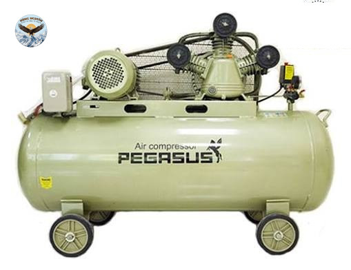 Máy nén khí PEGASUS TM-V-0.36/8-230L