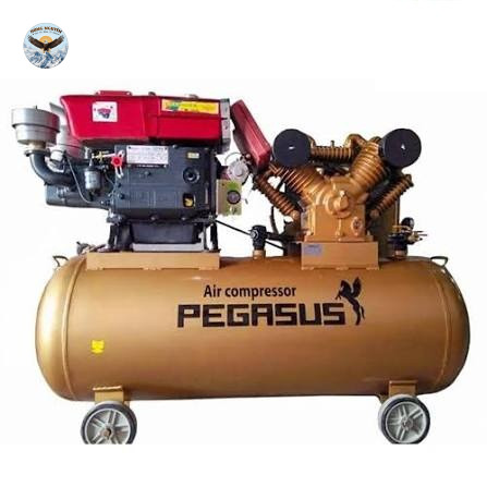 Máy nén khí PEGASUS TM-V-1.05/12.5