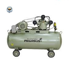 Máy nén khí dây đai PEGASUS TM-W-0.36/8-230L