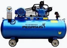 Máy nén khí PEGASUS TM-W-0.67/8-330L