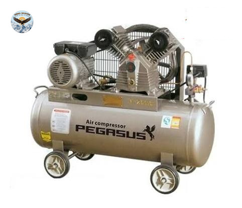 Máy nén khí PEGASUS TM-W-1.6/10-500L