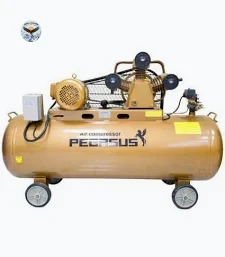Máy nén khí dây đai PEGASUS TM-W-1.6/12.5-500L