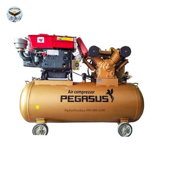 Máy nén khí chạy dầu PEGASUS TM-W-1.0/8-330L