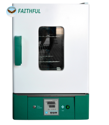 Tủ sấy hiển thị số CHINA WGL-625B (625 lít)