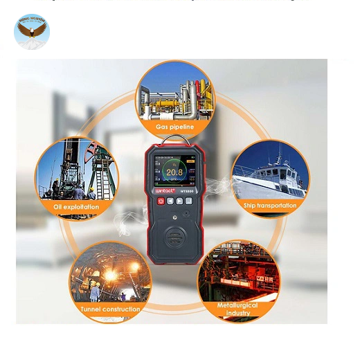 Máy đo nồng độ khí O2 WINTACT WT8800